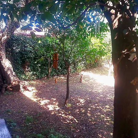 Antigoni *